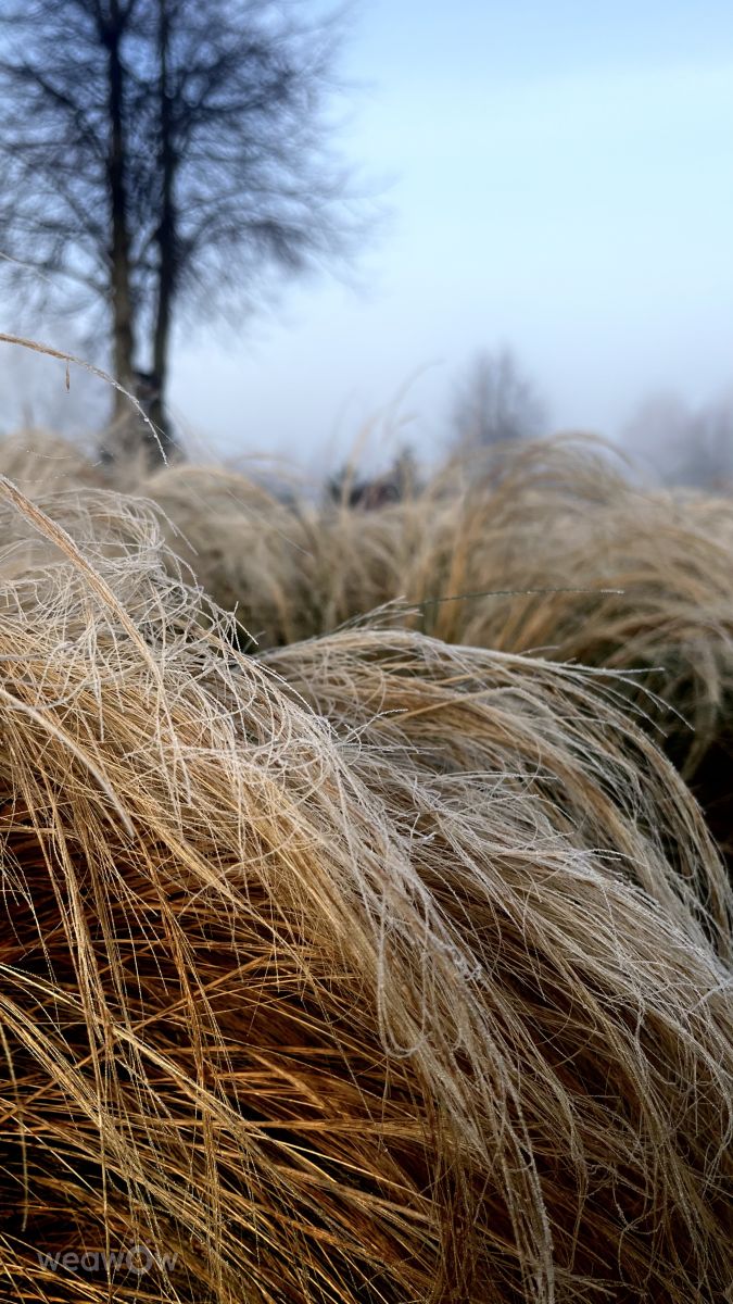 Photos météo à Teshkovo. Prévisions météo avec de superbes photos de Stassy