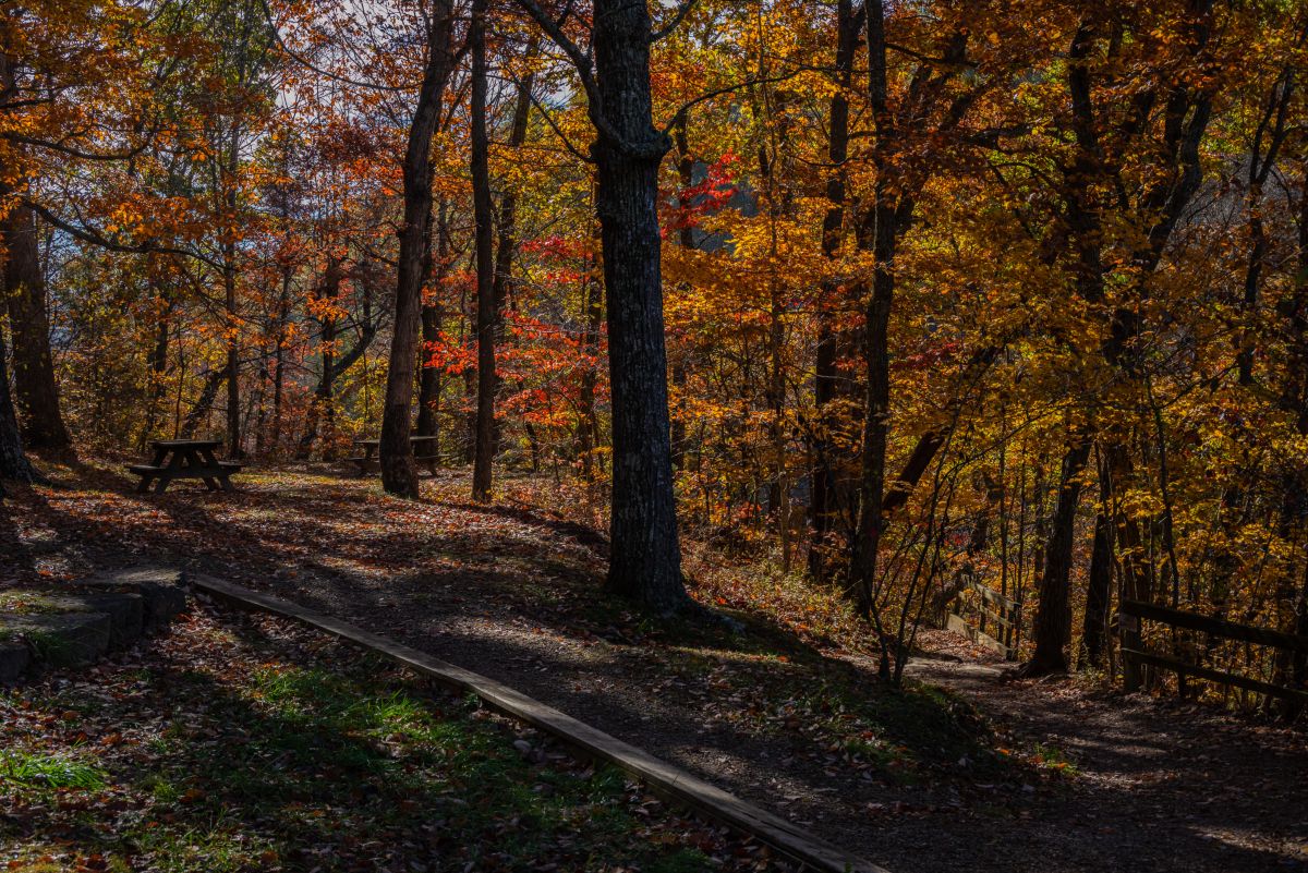 Weather Photos in Clifty Falls State Park. Weather forecasts with beautiful photos by krantzjh
