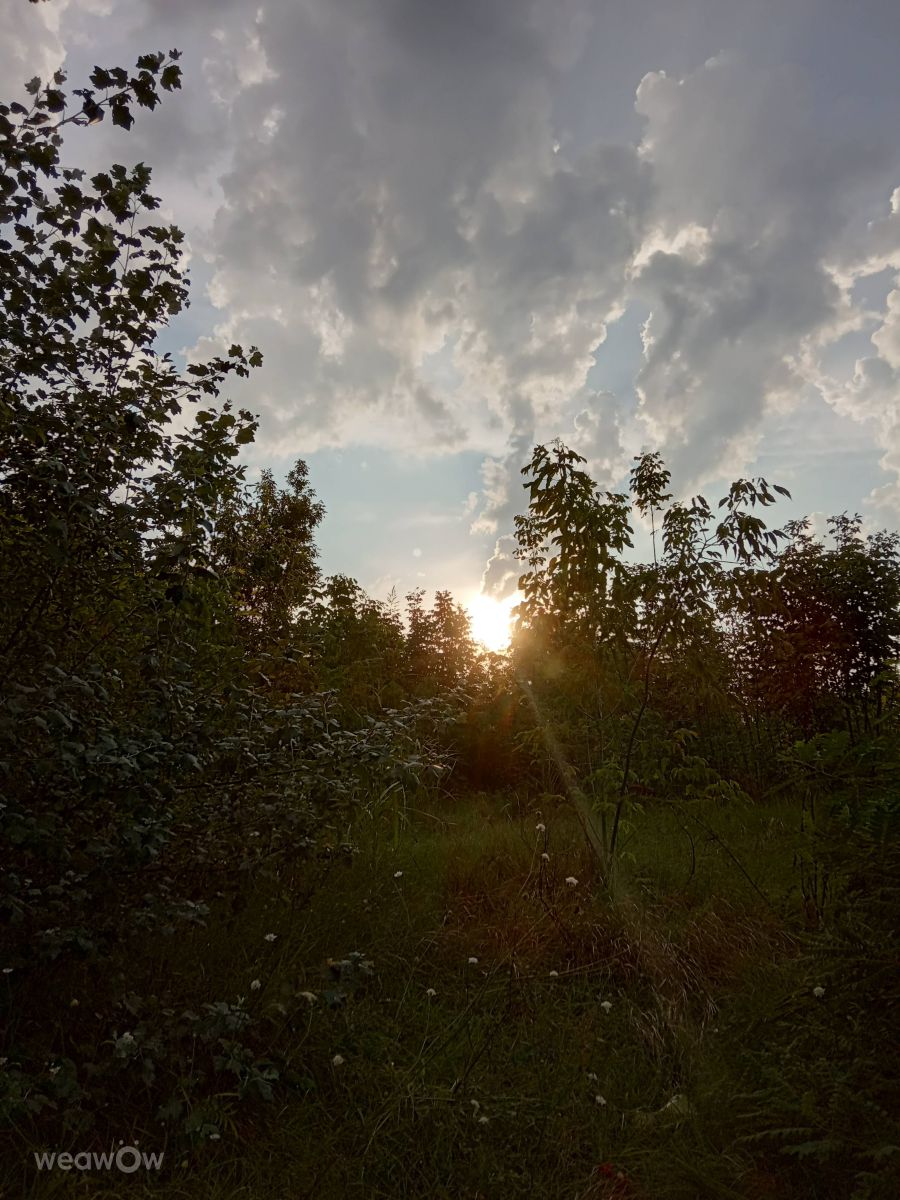 Novi Beograd的天气照片. 天气预报，带Doc_H精美的照片