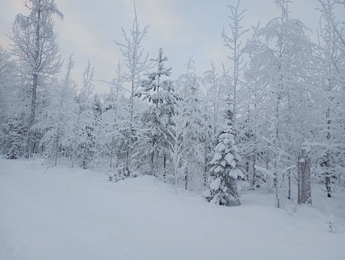 Fotos do tempo em Finlândia. Previsões do tempo com lindas fotos de Juki
