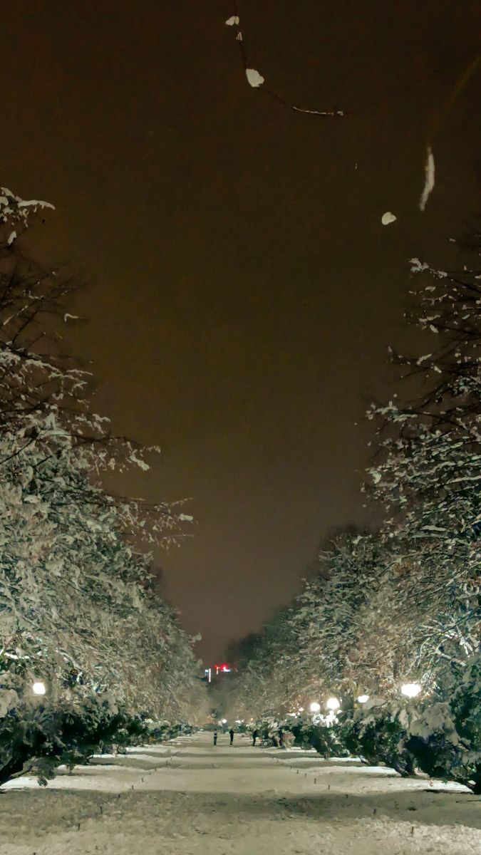 Fotógrafo YanBog, Fotos sobre el clima en București - Weawow