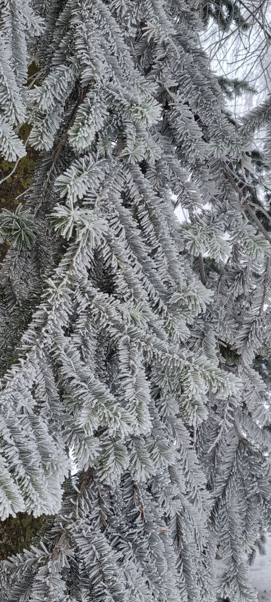 Photos météo à Tartu. Prévisions météo avec de superbes photos de Pushtiks