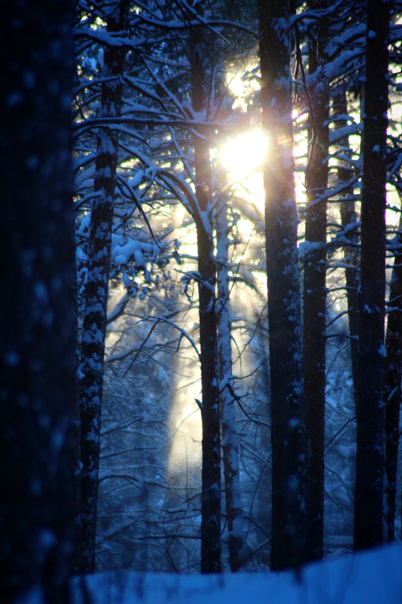Photos météo à Sverdlovskaya Oblast'. Prévisions météo avec de superbes photos de rx9cig