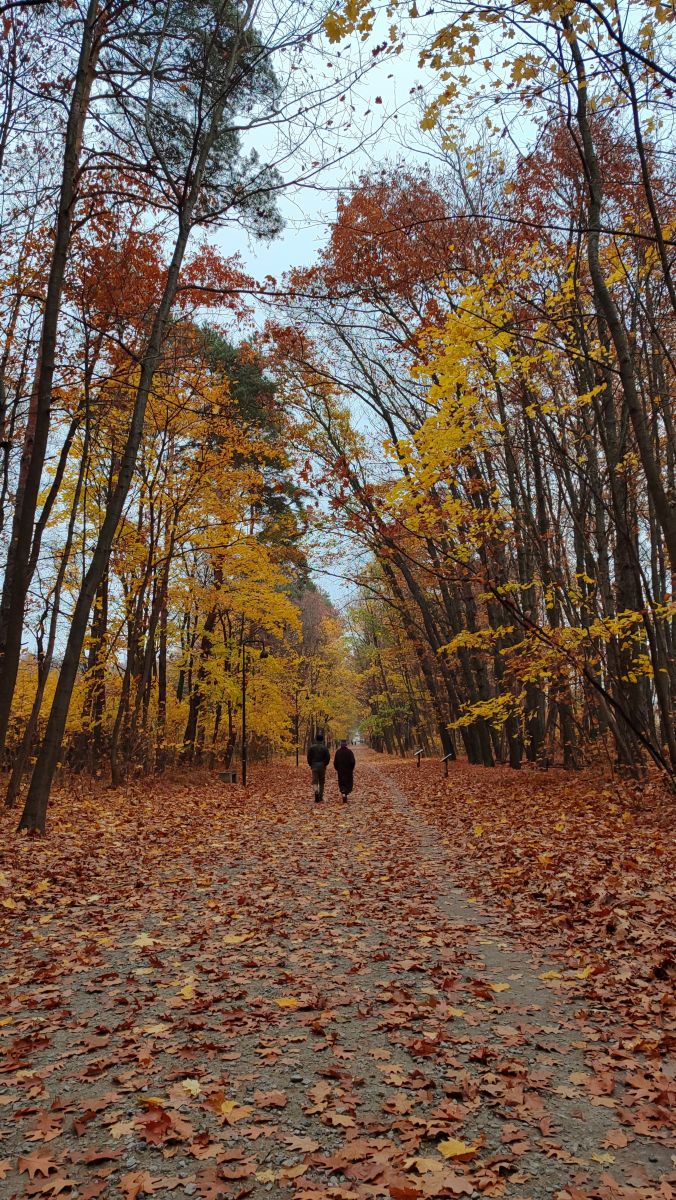 Photographer Romek58, Weather Photos in Wieluń - Weawow