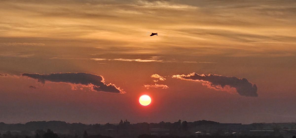 Фотограф Thinner1000, Фотографии Погоды в Шверин - Weawow