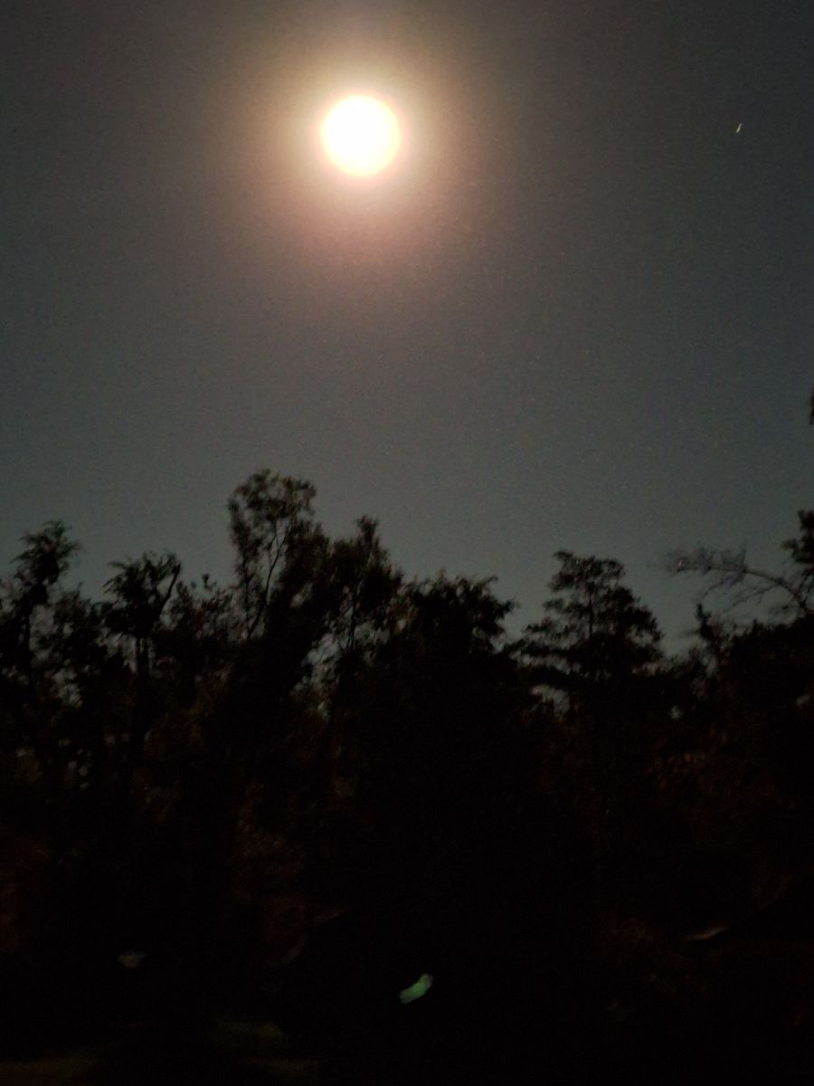 Photographer ccdn0630, Weather Photos in Barrie - Weawow