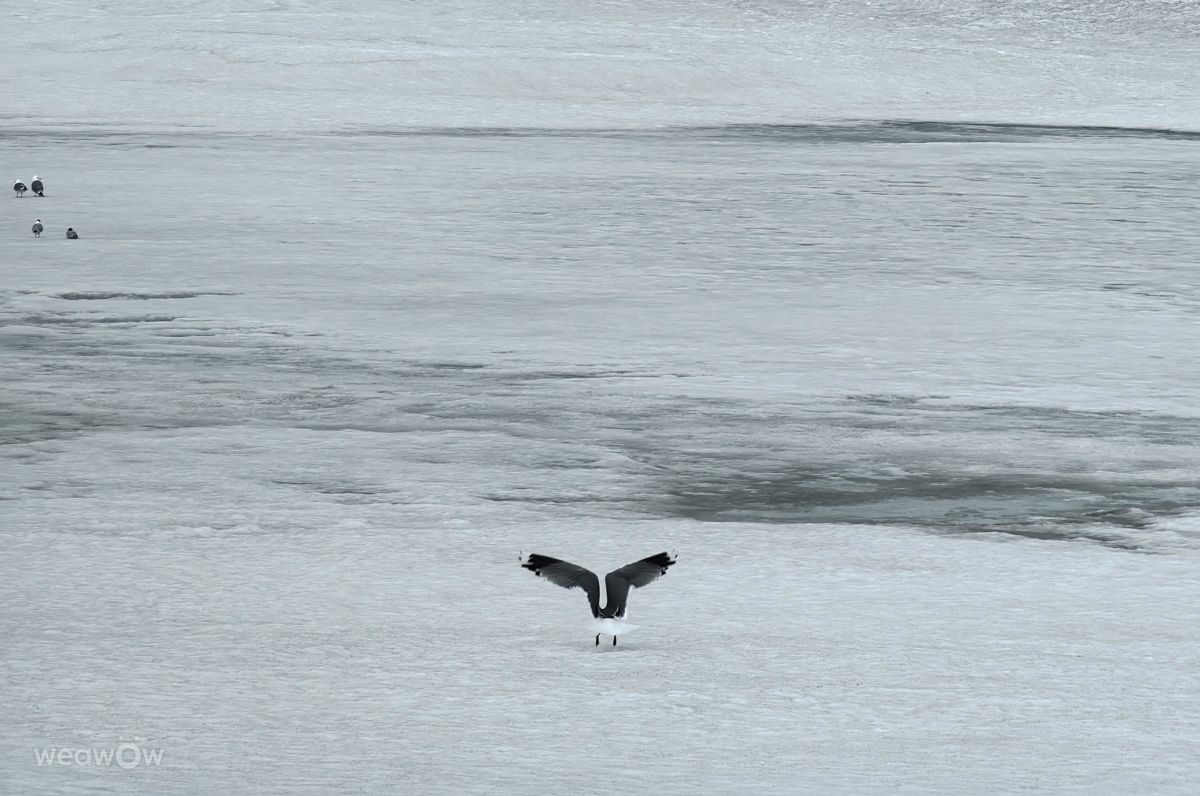 Fotos do tempo em Kirovsk. Previsões do tempo com lindas fotos de Eva_Eva