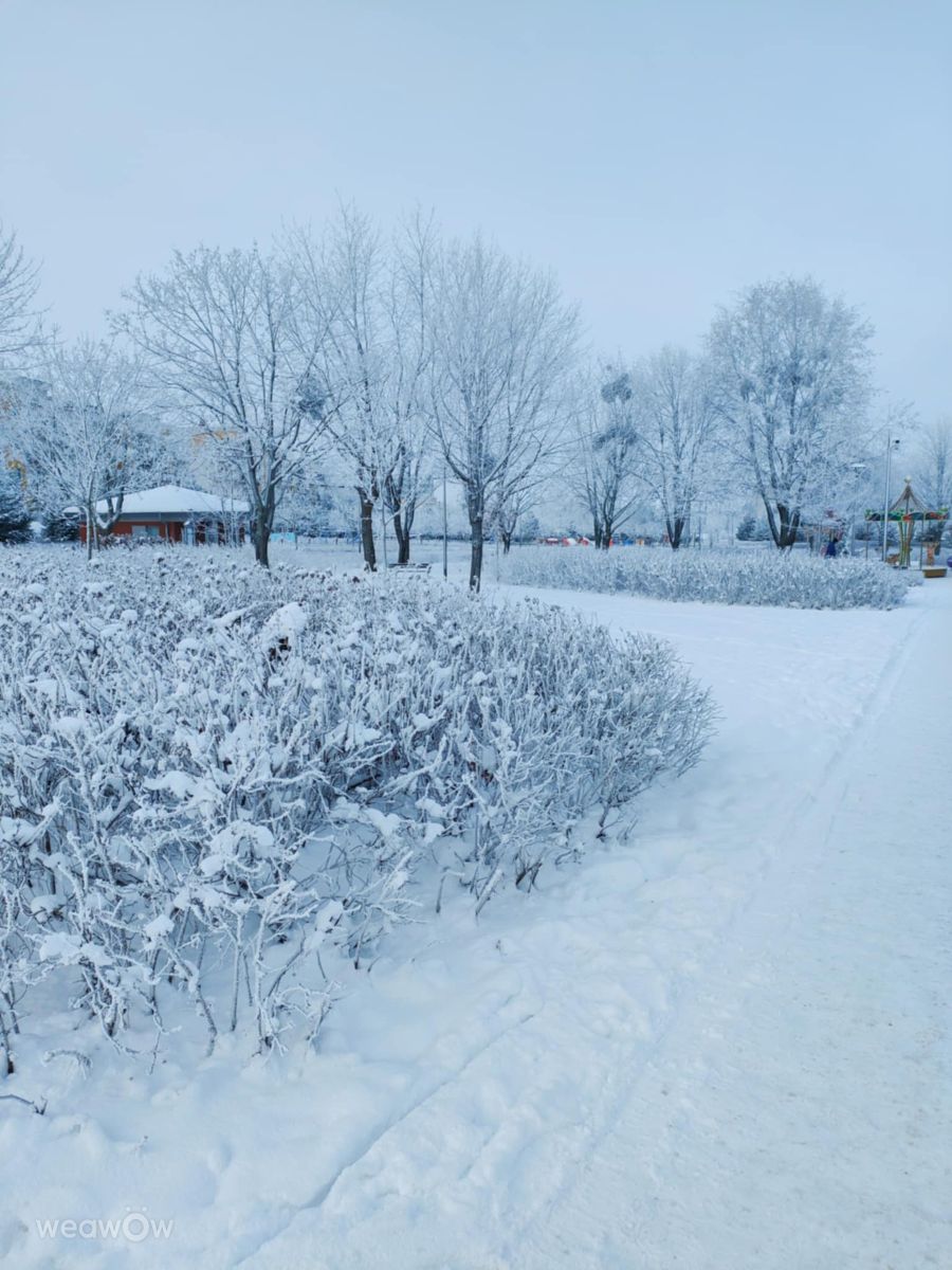 写真家 Ania-12、ウォムジャの天気写真 - Weawow