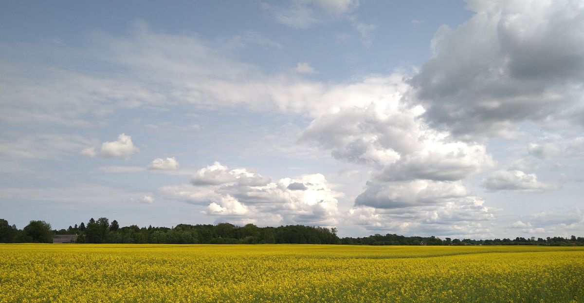 Weather Photos in Ida-Virumaa. Weather forecasts with beautiful photos by Dmitry8