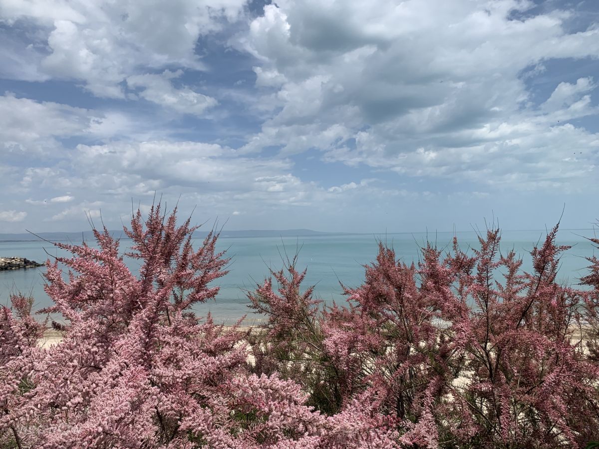 Fotos sobre el clima en Pomorie. Pronósticos del tiempo con hermosas fotos de Bilyana