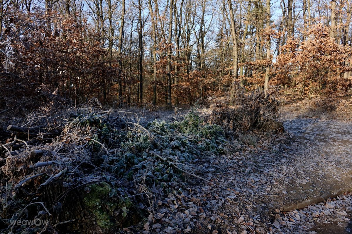 Fotografos Vasek325, Fotos do tempo em Praha 4 - Weawow