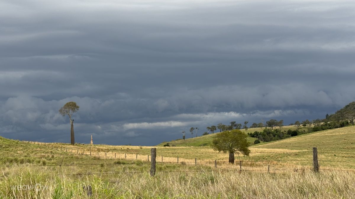 Weather forecasts with beautiful photos by Ro Marriage