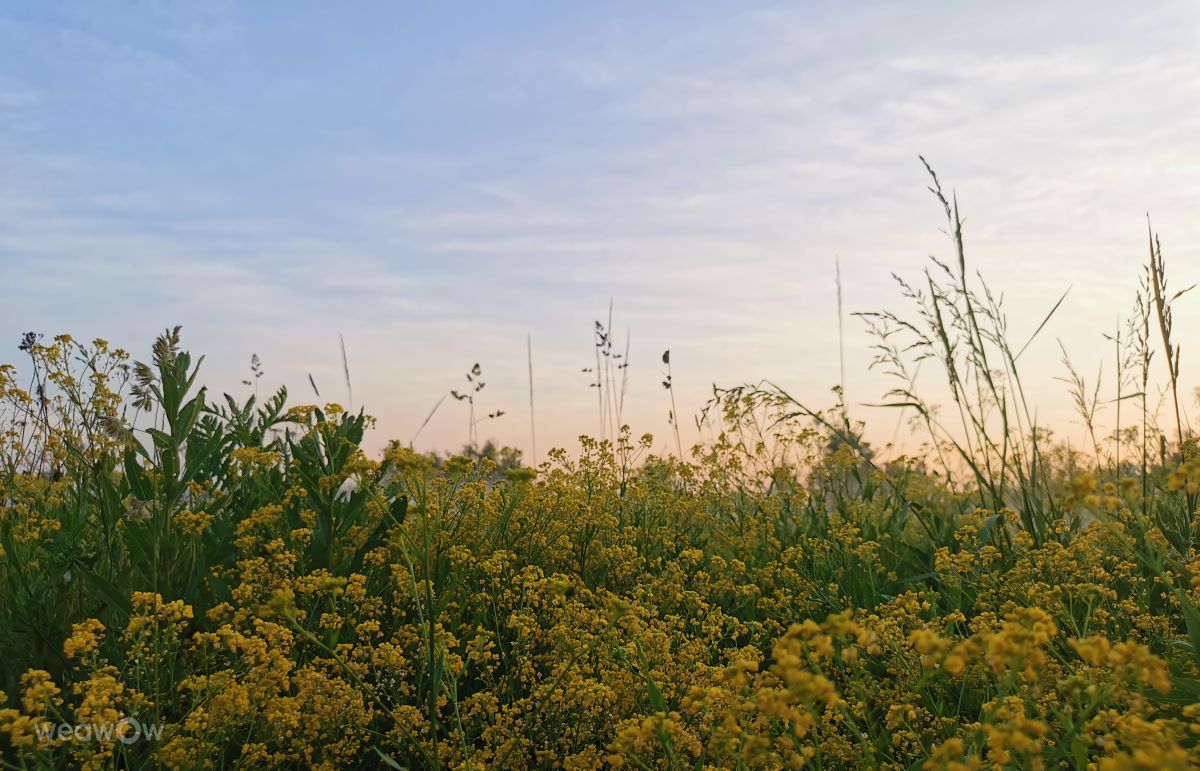 Fotos do tempo em Medvezh'i Ozera. Previsões do tempo com lindas fotos de Eva_Eva