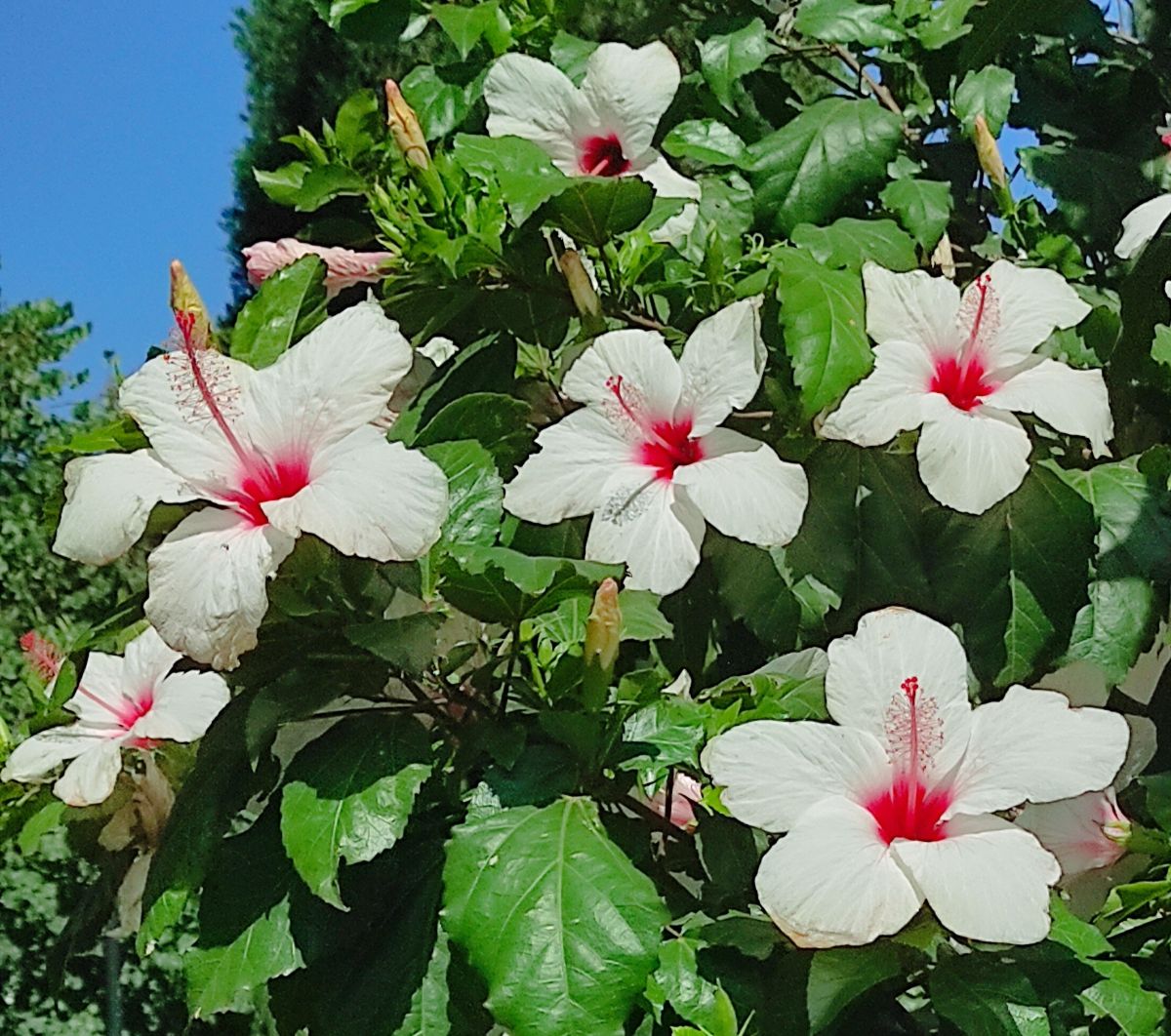Photos météo à Karmi’el. Prévisions météo avec de superbes photos de Yuval