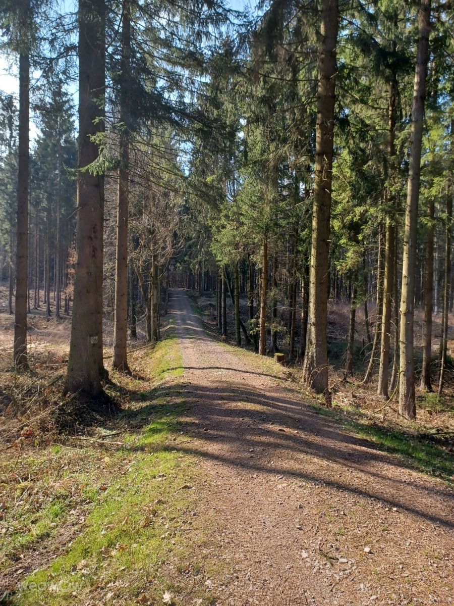 Fotos do tempo em Freiberga. Previsões do tempo com lindas fotos de Kastramania