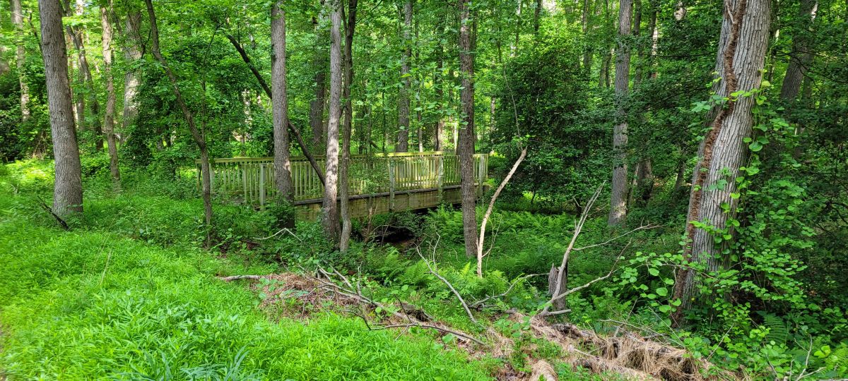 马里兰州的天气照片. 天气预报，带Bluepond精美的照片