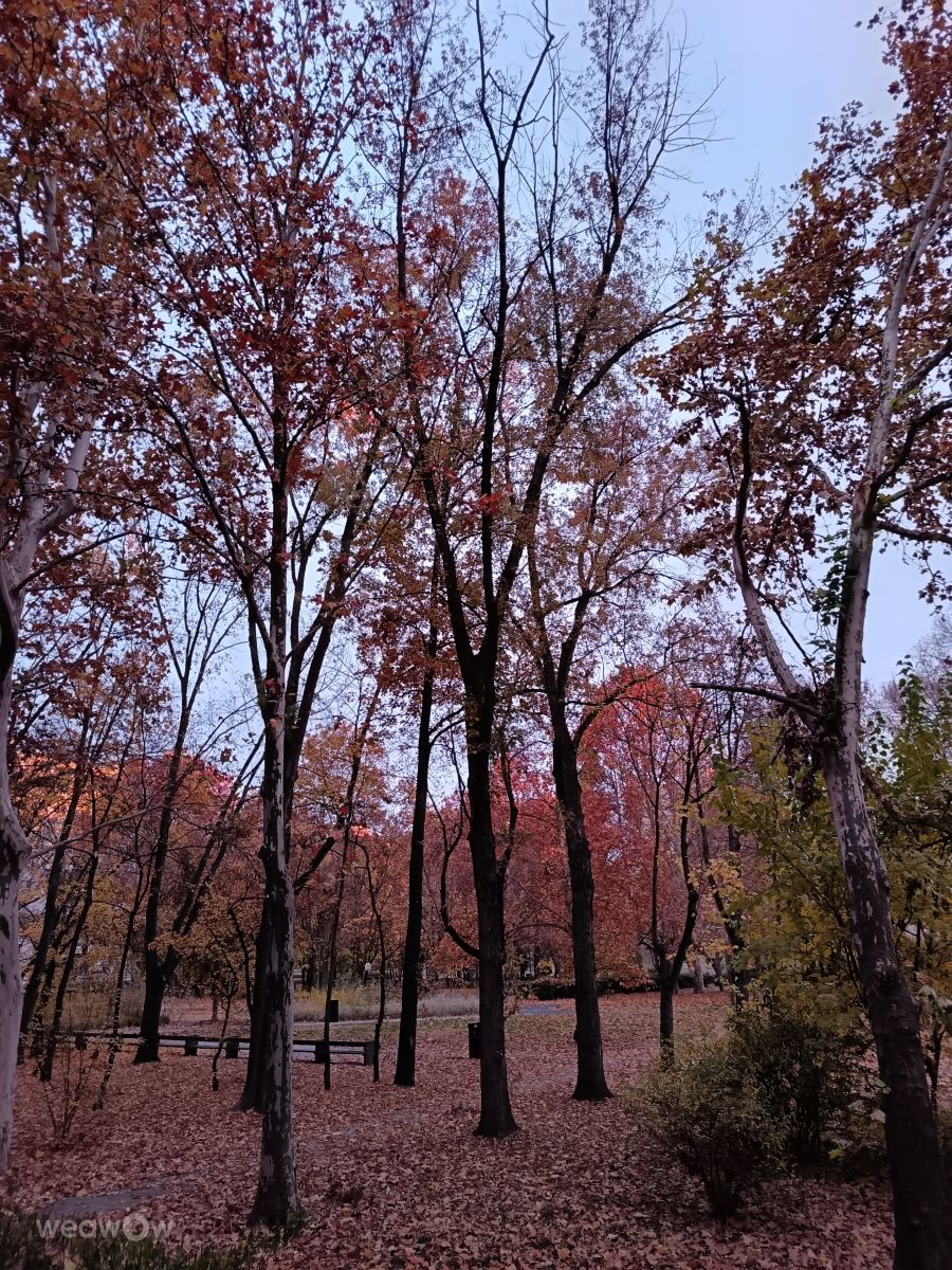 Фотографии Погоды в Венгрия. Прогнозы погоды с чудесными фотографиями, сделанными Katalin Papp_fb1