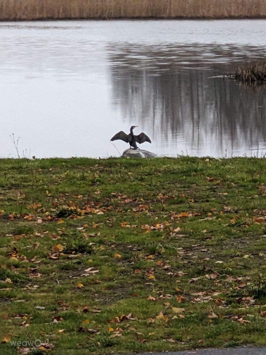 Photos météo à Finlande. Prévisions météo avec de superbes photos de Mangustium
