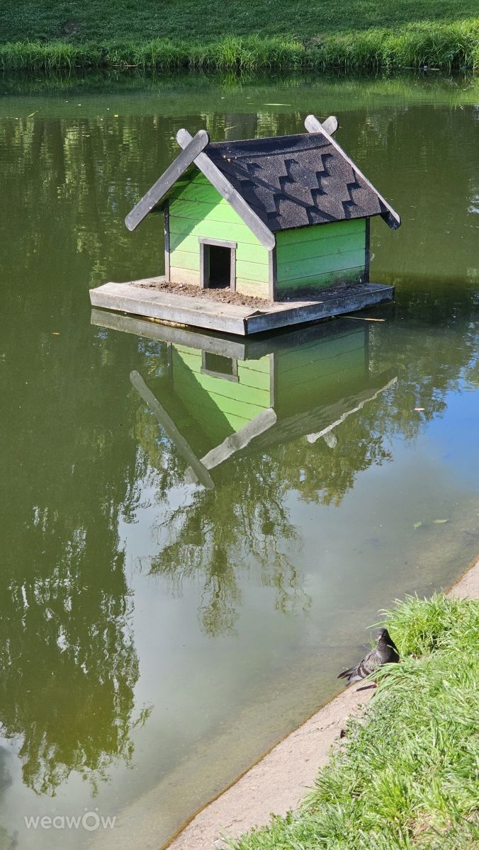 Yakhromaの天気写真. Stroganov_4の美しい写真による天気予報