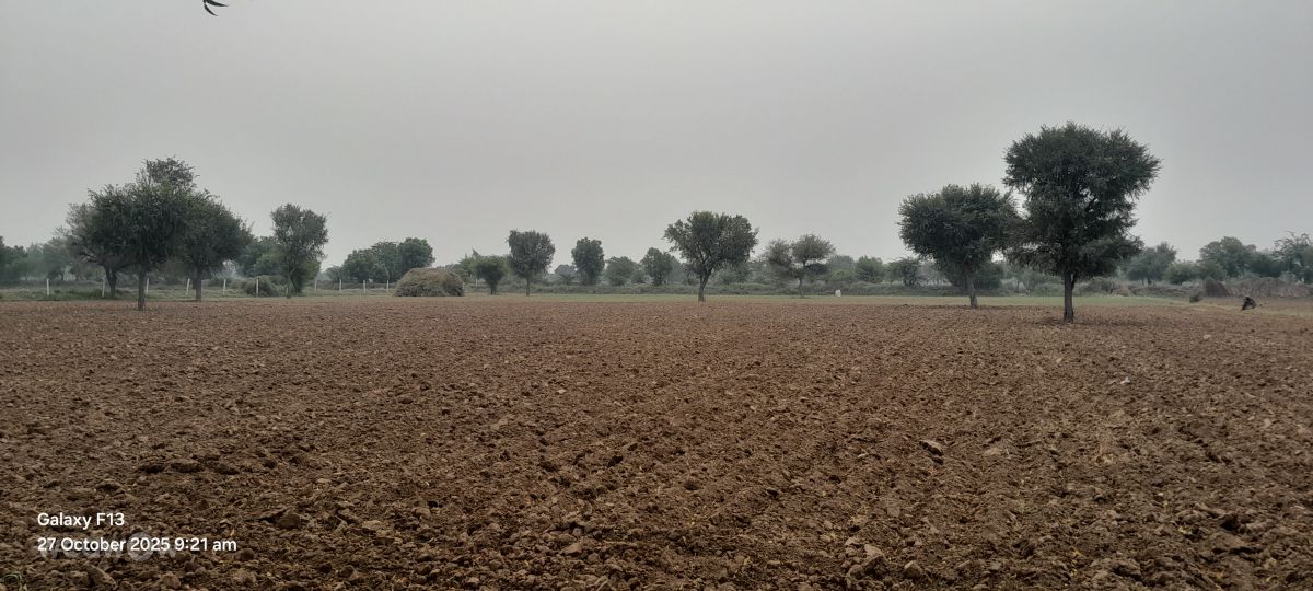 Фотографии Погоды в Раджастхан. Прогнозы погоды с чудесными фотографиями, сделанными Rupa Ram Bawari