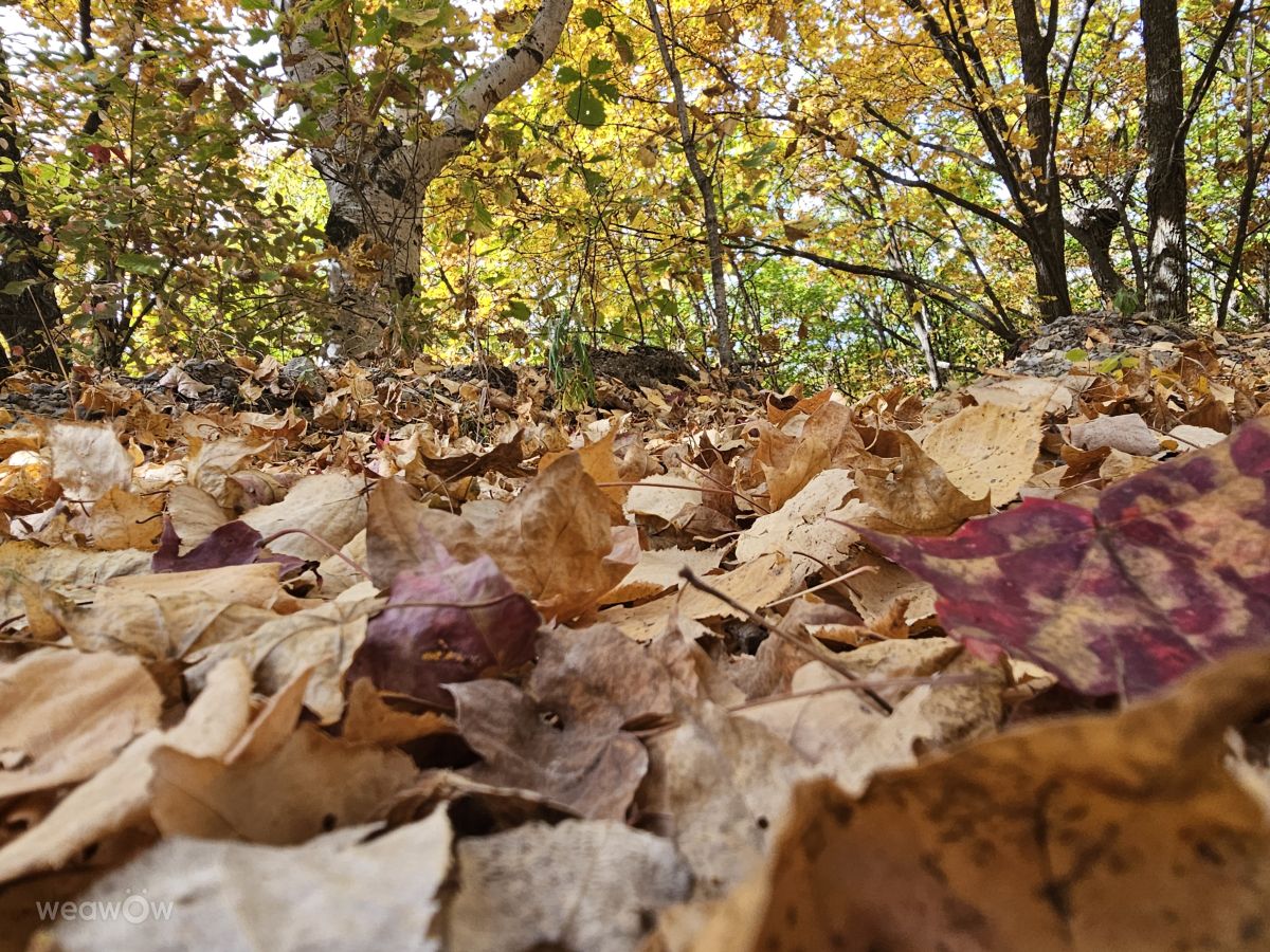 Primorye的天气照片. 天气预报，带ImPe精美的照片