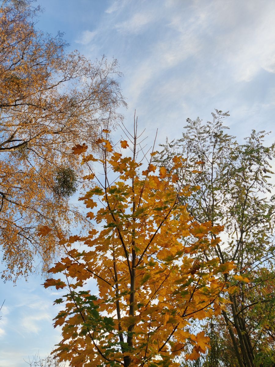 Fotografos Zorrra, Fotos do tempo em Kladow - Weawow