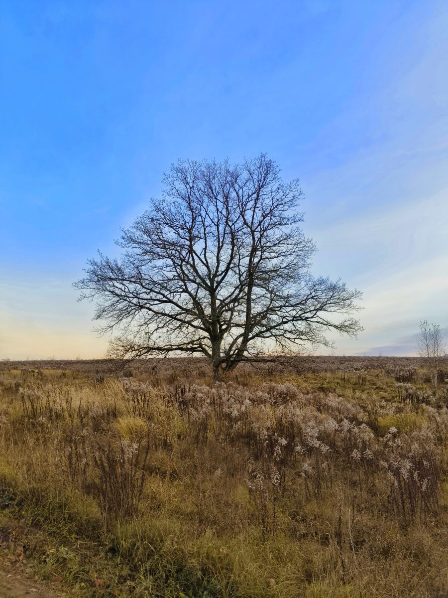 Fotos sobre el clima en Tula. Pronósticos del tiempo con hermosas fotos de Aleksei