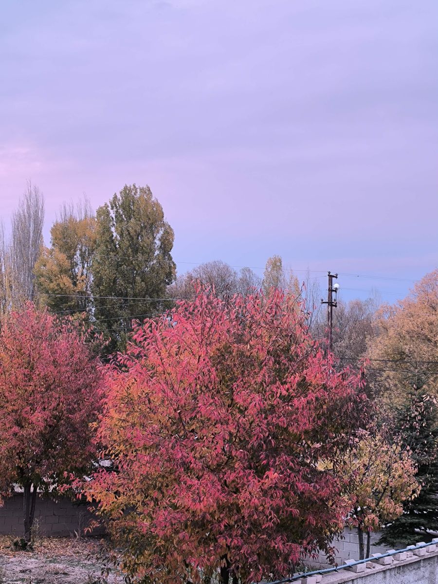 Fotos do tempo em Yozgat. Previsões do tempo com lindas fotos de Cankat