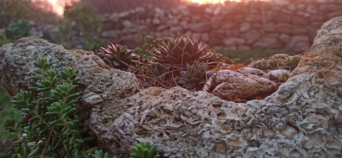 Фотографии Погоды в Dobrich. Прогнозы погоды с чудесными фотографиями, сделанными maxivanovbaba