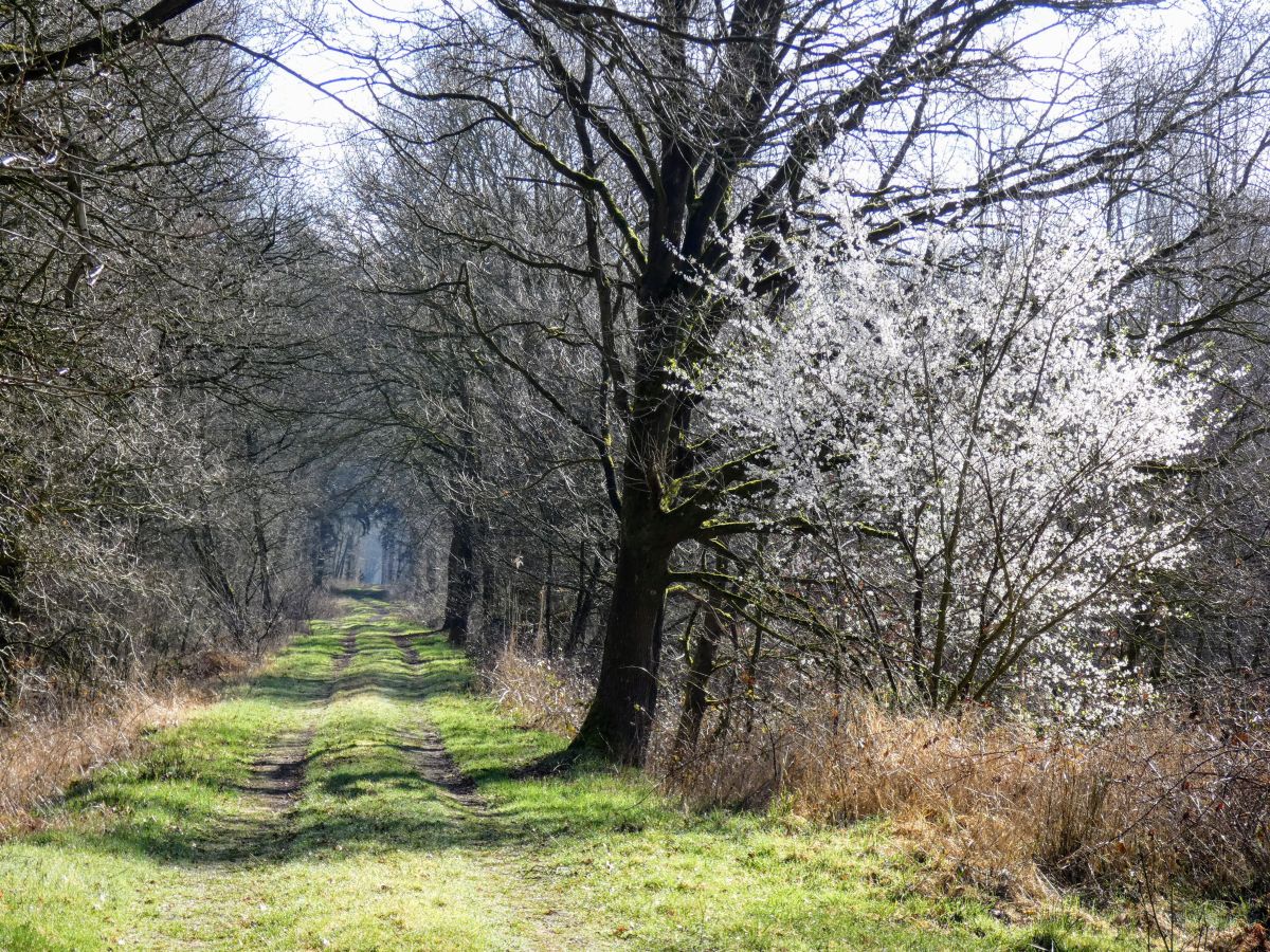 Фотографии Погоды в Ahlhorner Fischteiche. Прогнозы погоды с чудесными фотографиями, сделанными fwerner