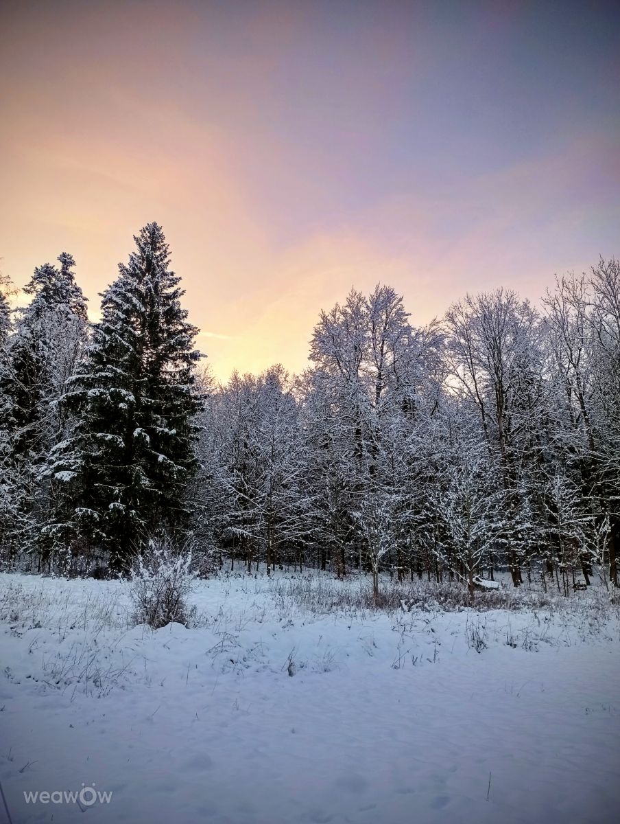 Photograph Kripo, Wetter Photos Ladek Zdroj - Weawow