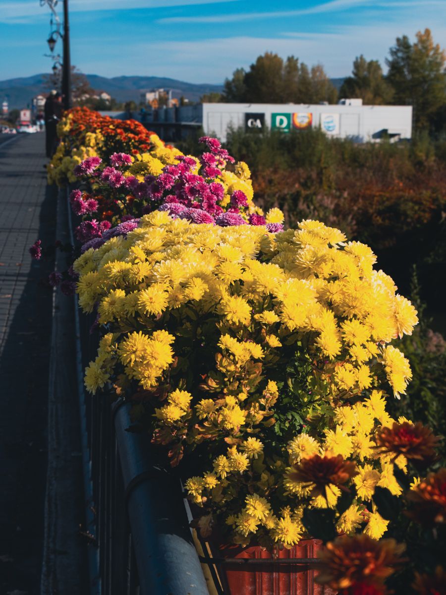 Fotos do tempo em Râmnicu Vâlcea. Previsões do tempo com lindas fotos de Evgeniy79