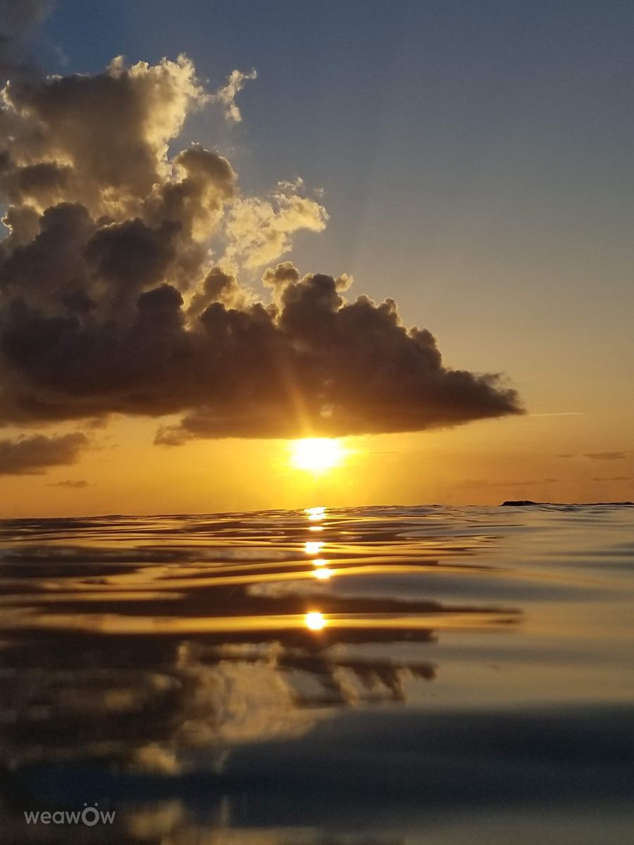 Weather forecasts with beautiful photos by Birdy25