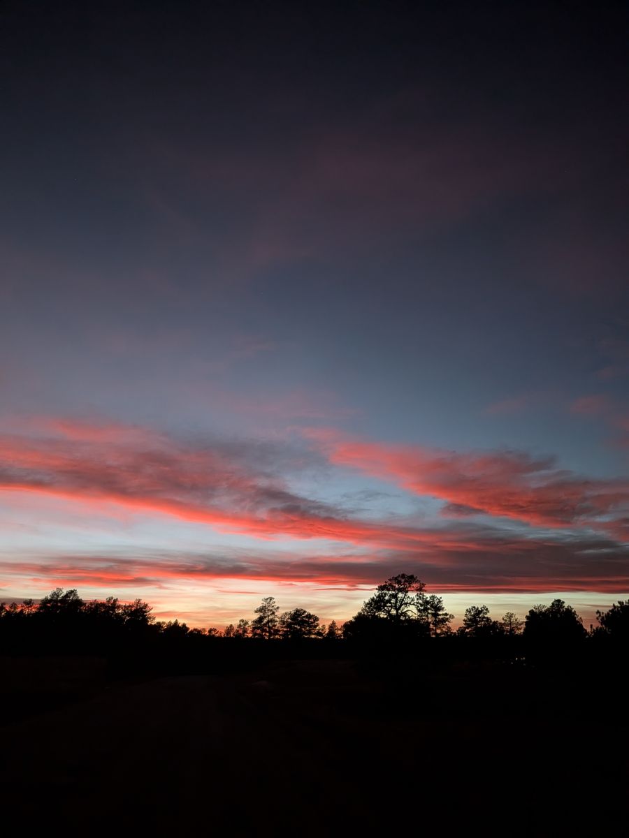 天气预报，带BonnieC85精美的照片