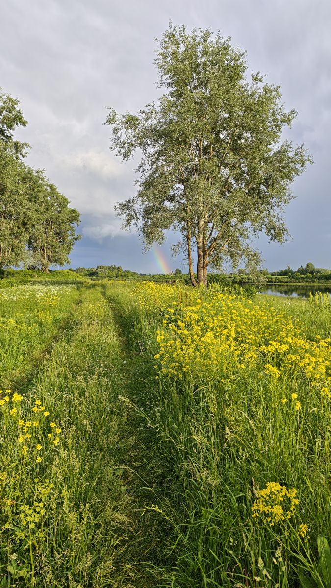 Fotos sobre el clima en Daugavpils. Pronósticos del tiempo con hermosas fotos de Алекс_Двинск