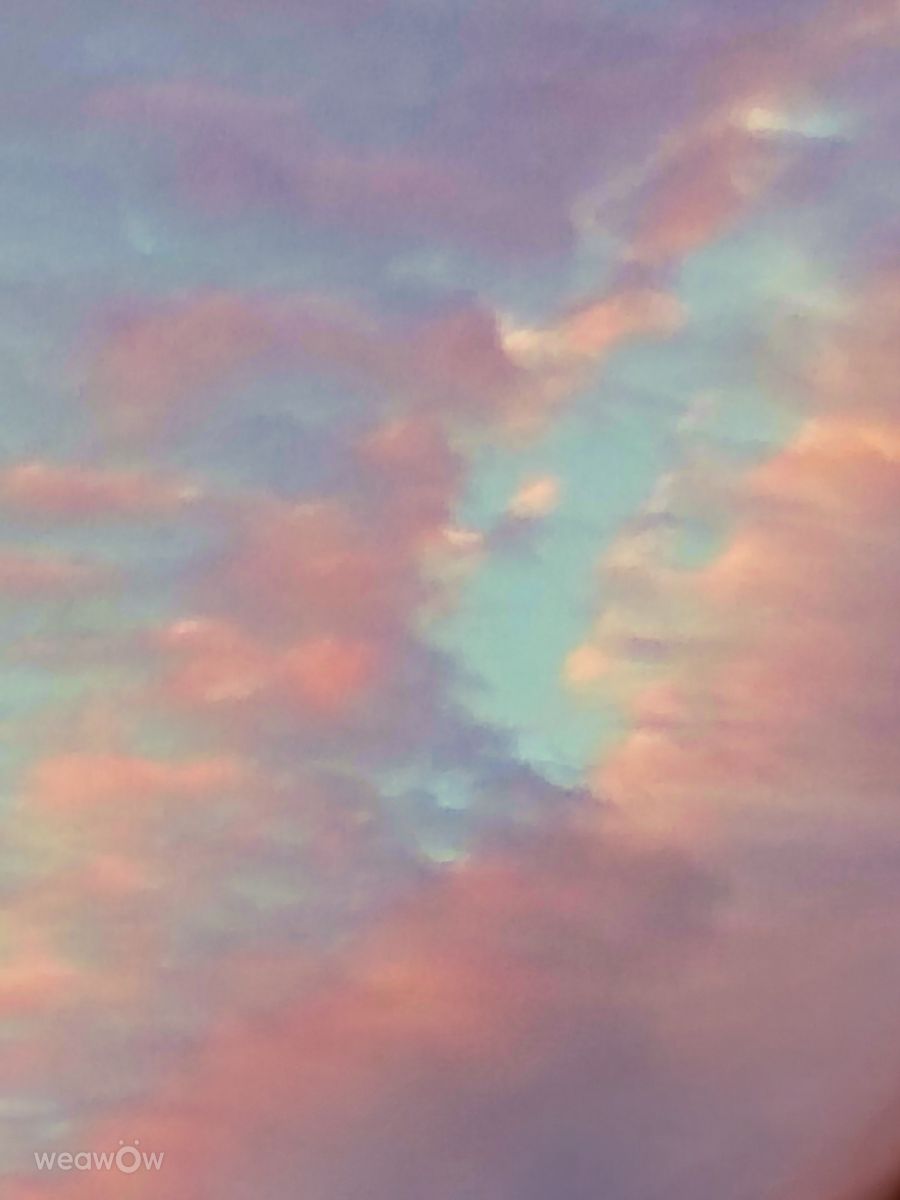 摄影师 Ghostroku，奇科的天气照片 - Weawow