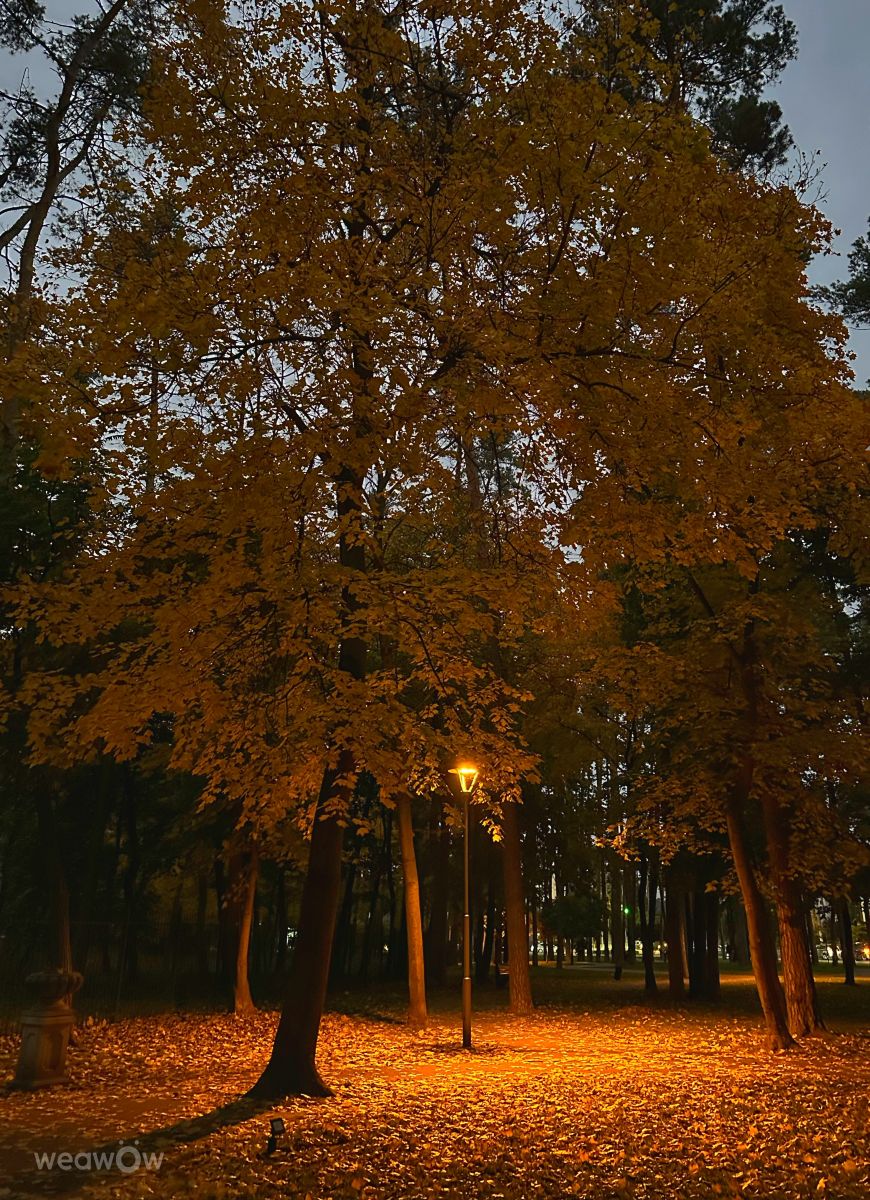 Wetter Photos Irpin. Wettervorhersagen mit schönen Fotos von Інна