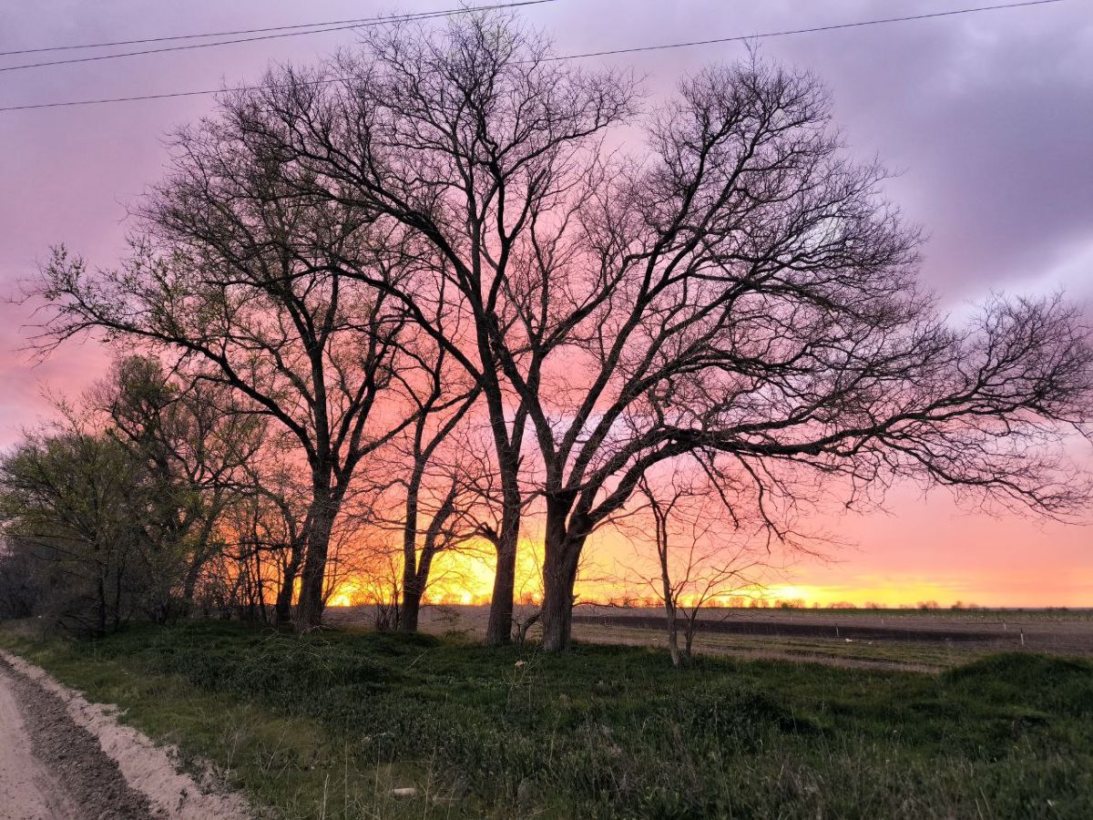 Photographe Dyane881, Photos météo à Moldavie - Weawow