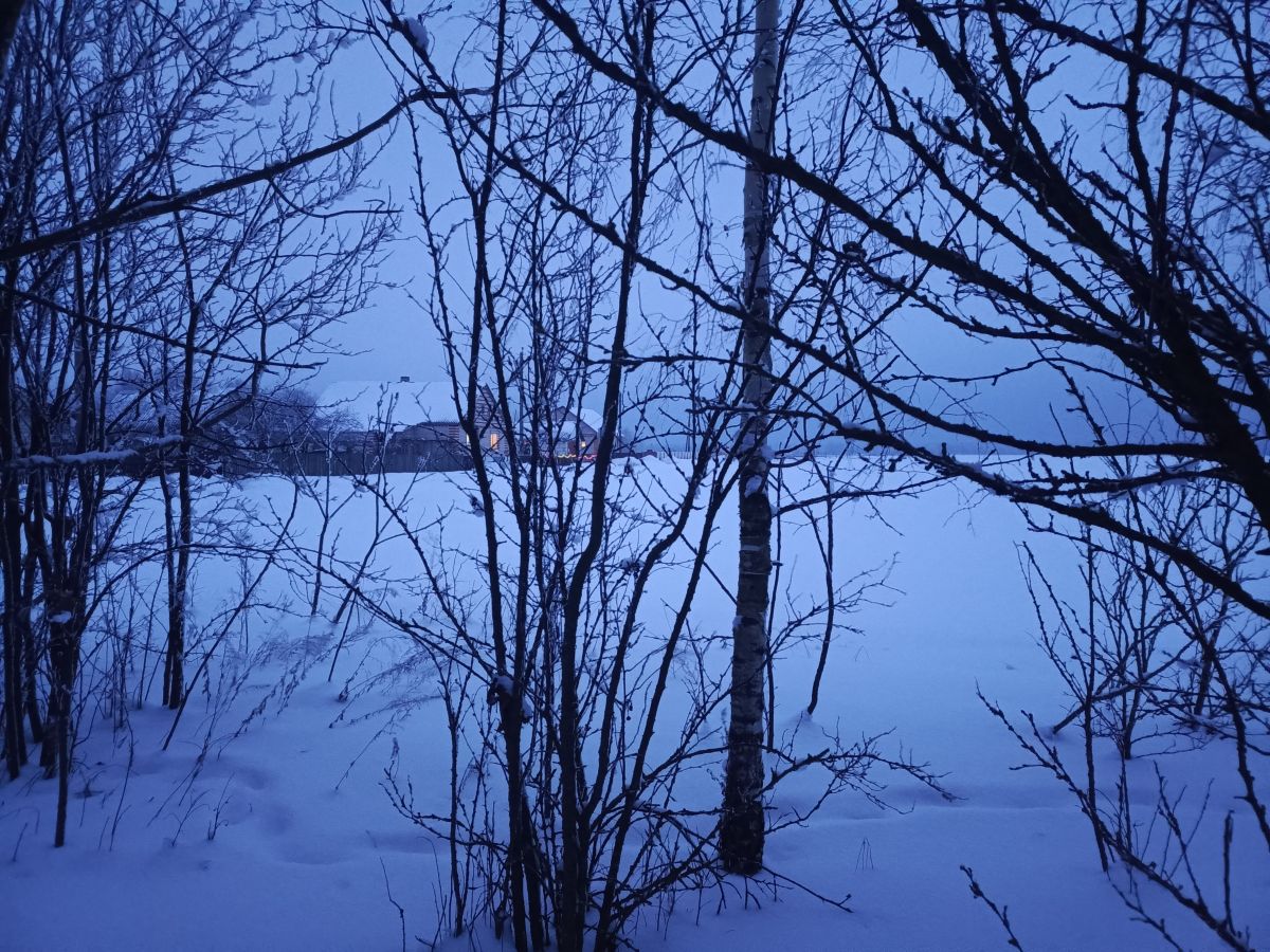 Weather Photos in Belarus. Weather forecasts with beautiful photos by Inna_Schwartz