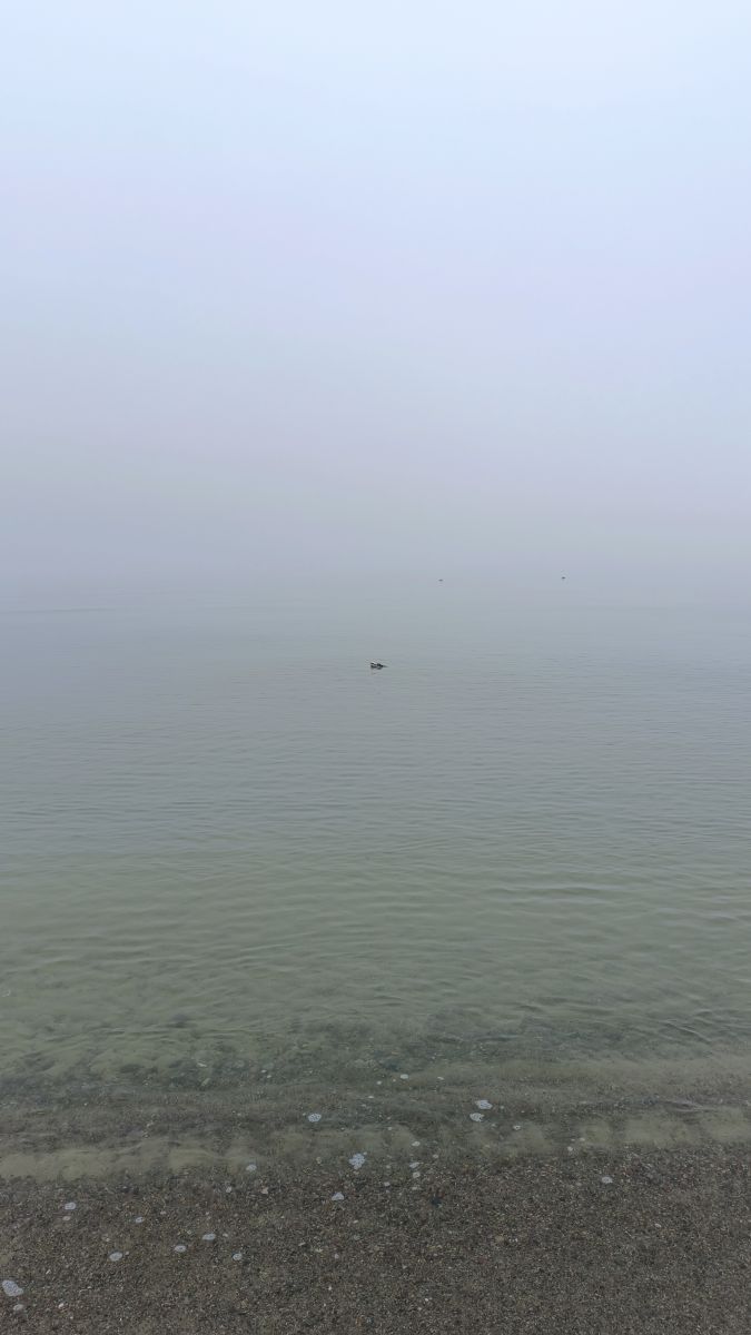 Gorod Svetlogorsk的天气照片. 天气预报，带Михаил Бондаренко精美的照片