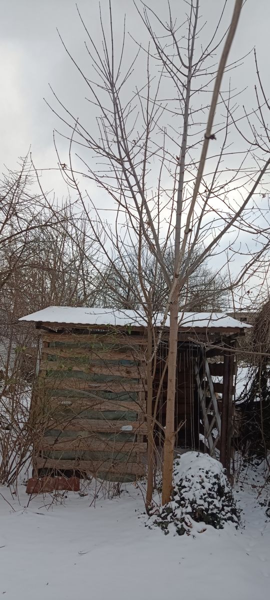Fotos sobre el clima en Rivne. Pronósticos del tiempo con hermosas fotos de masterigors