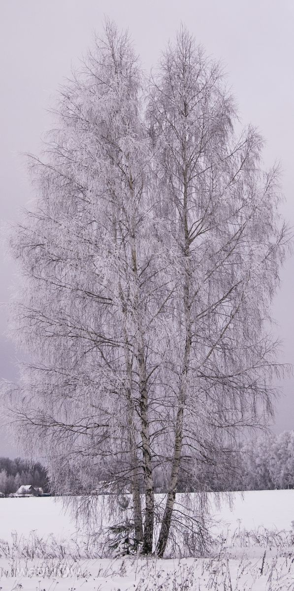 Weather Photos in Mikhnevo. Weather forecasts with beautiful photos by Alex_M_Pakarev