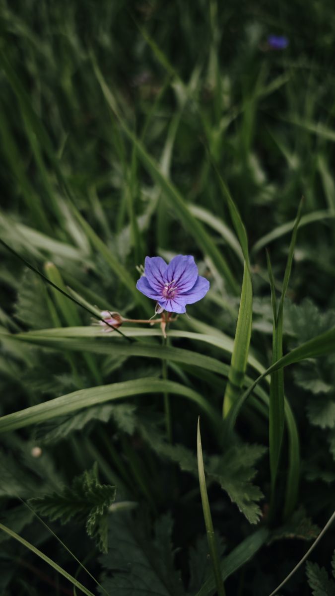 Wetter Photos Kropywnyzkyj. Wettervorhersagen mit schönen Fotos von Synieok