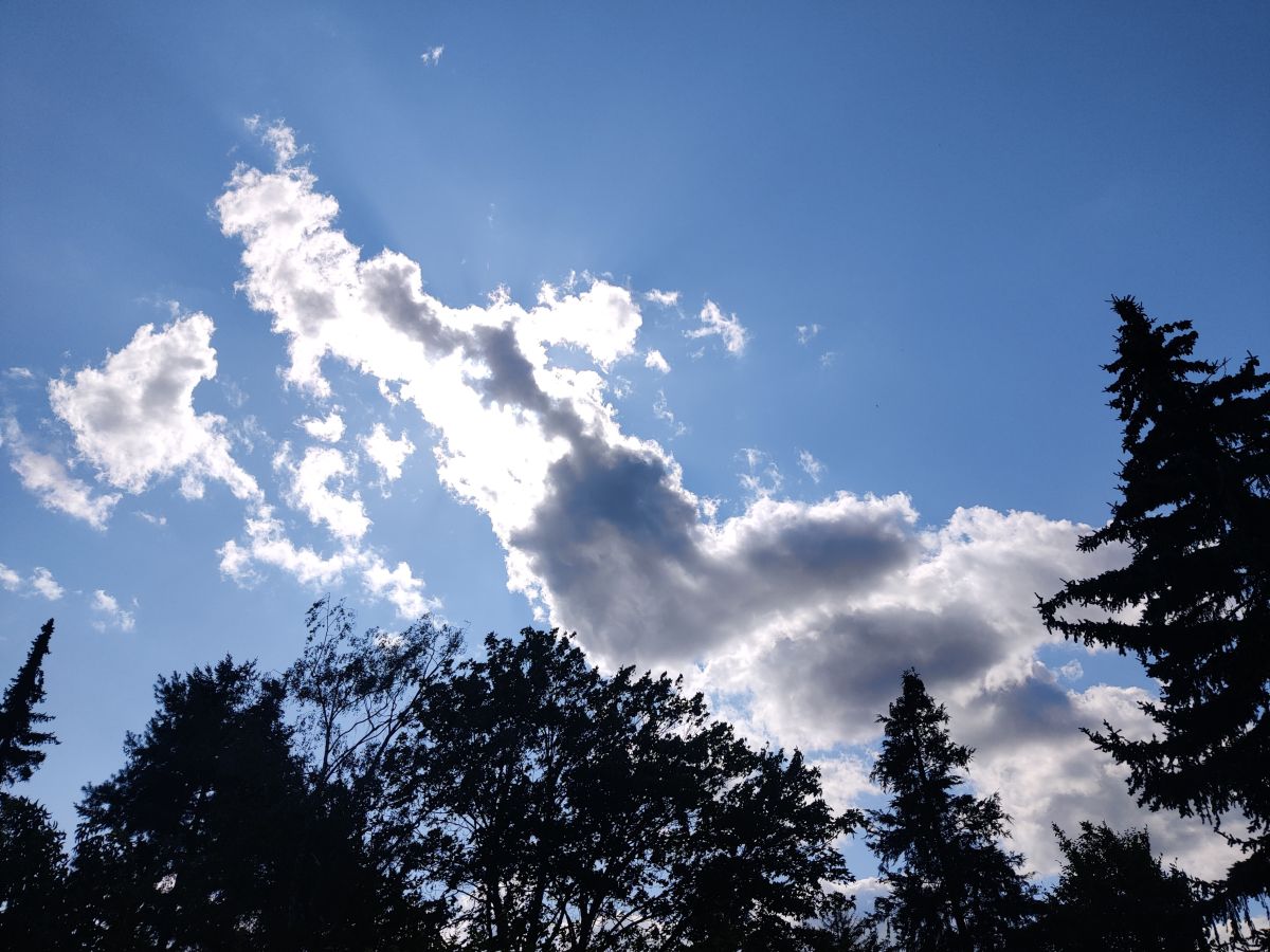 Fotografos Zorrra, Fotos do tempo em Kladow - Weawow