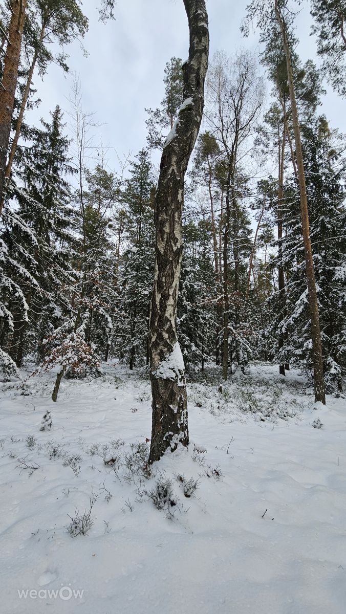 Fotos do tempo em Chéquia. Previsões do tempo com lindas fotos de FRANKenstein