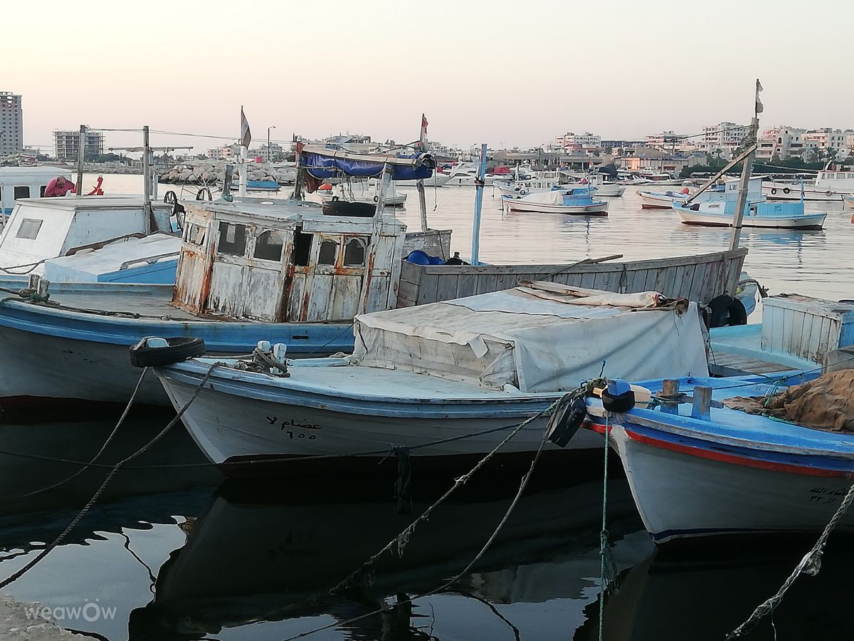 Dokk. Ilmateaded Youzaa kaunite fotodega fotod Latakia