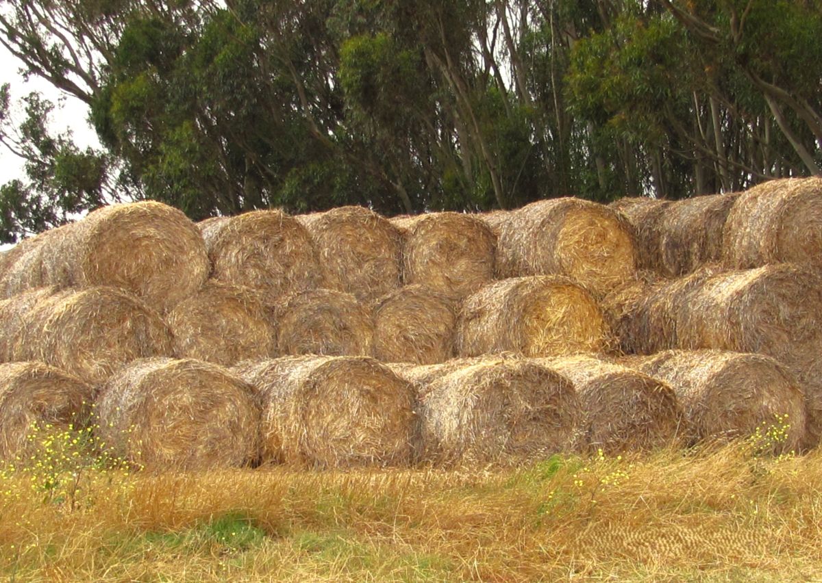 Previsões do tempo com lindas fotos de Step_Gently