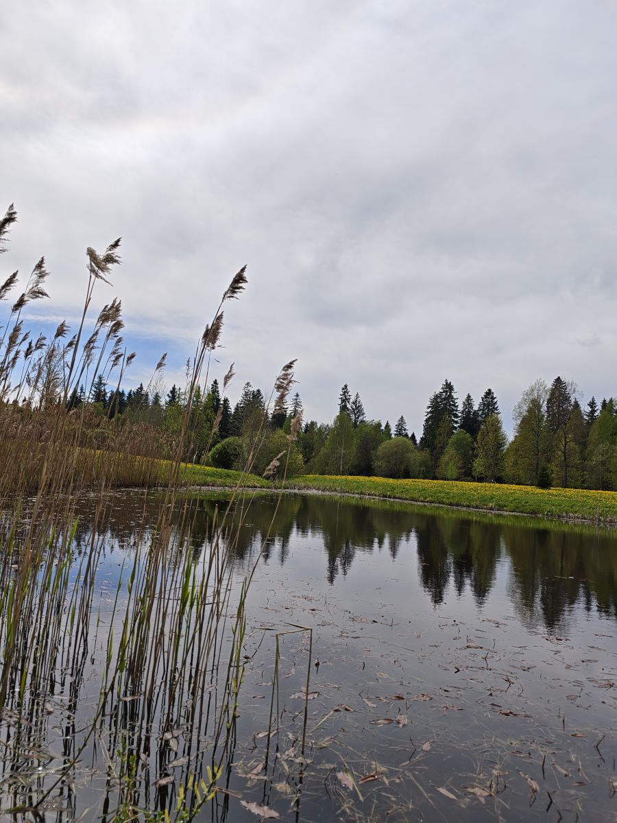 Weather Photos in Rēzekne. Weather forecasts with beautiful photos by nataljkar