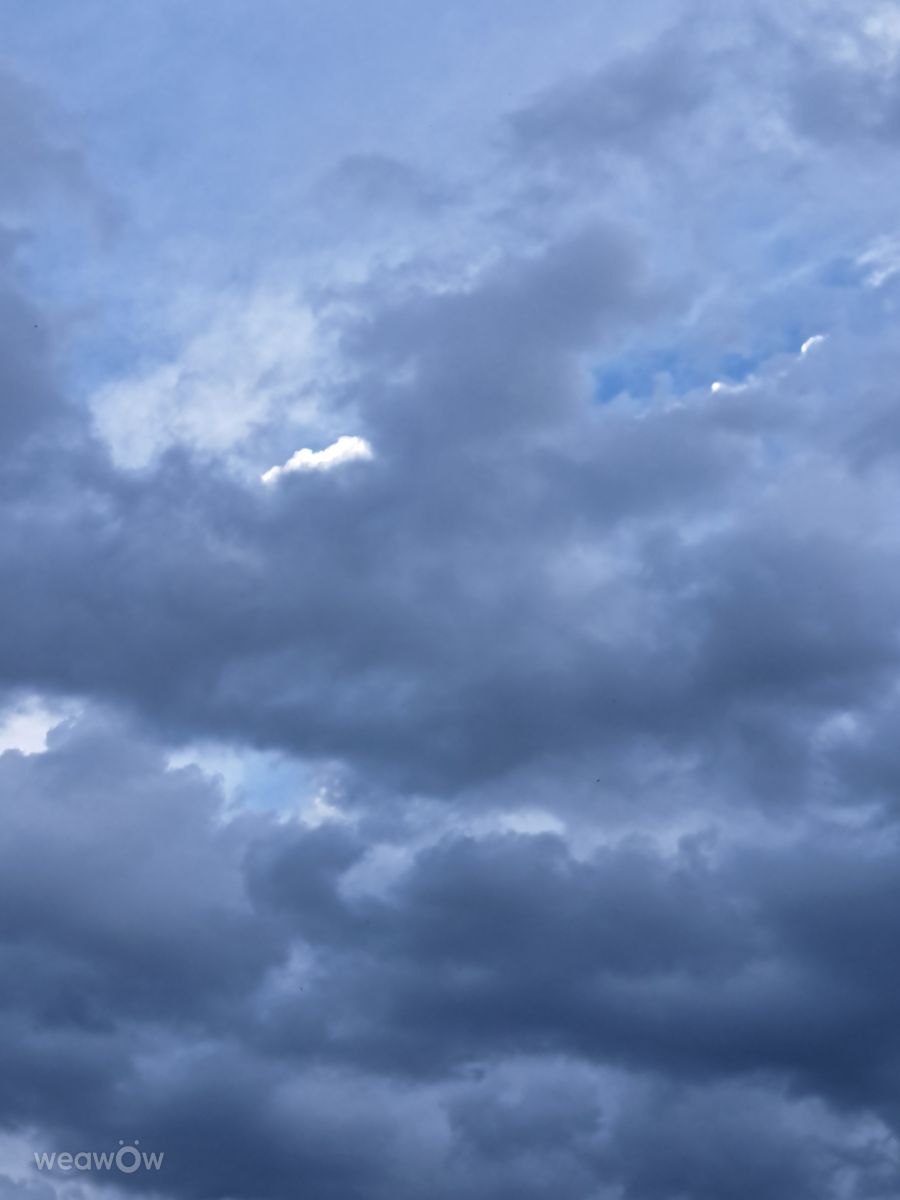 Hình ảnh Thời tiết ở Lublin Voivodeship. Dự báo thời tiết với những bức ảnh đẹp của luna1