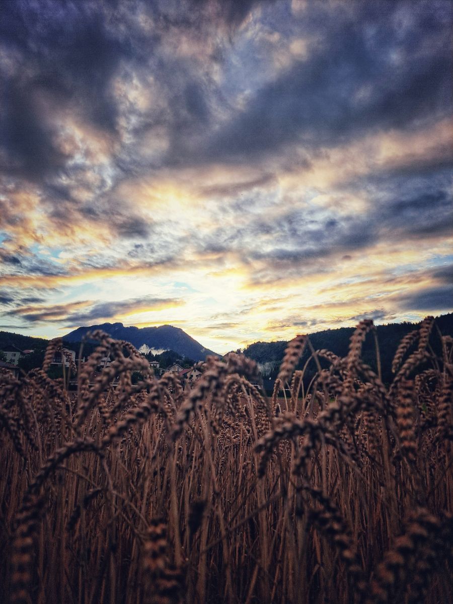 Photographer Asarii, Weather Photos in Villach - Weawow